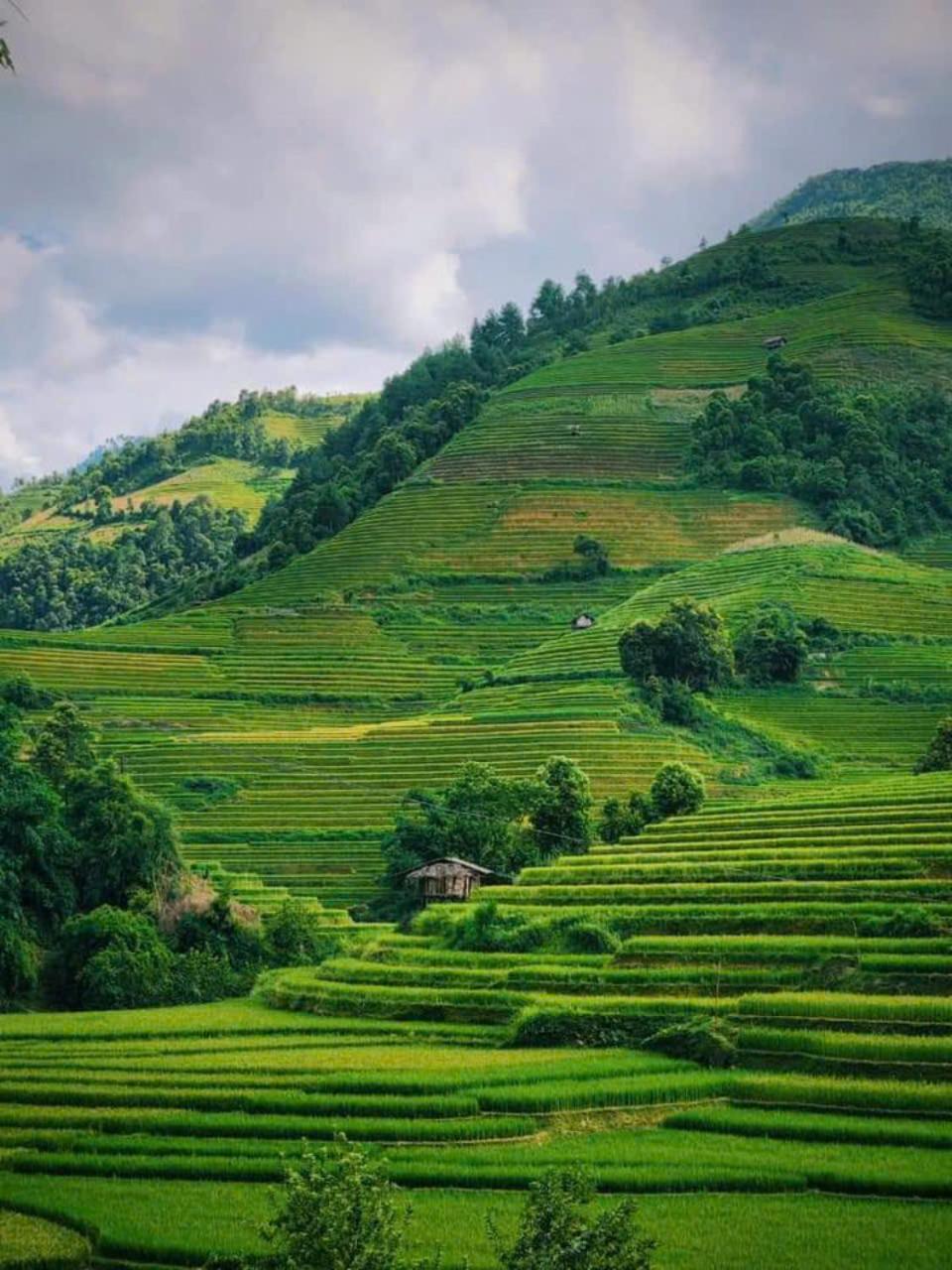 Mu Cang Chai Eco Home Exterior foto