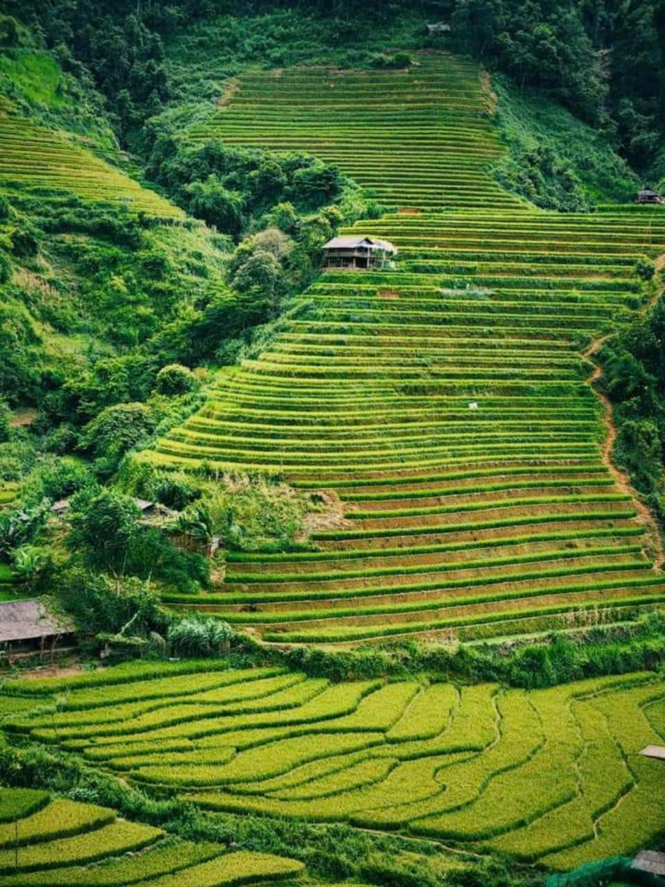 Mu Cang Chai Eco Home Exterior foto